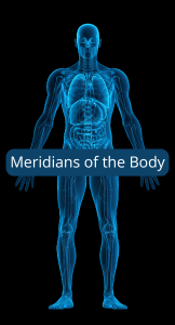 Meridians of the Body